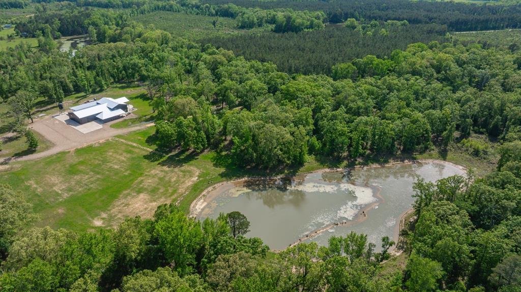 Azienda agricola a Simms, Texas, Stati Uniti 4 - 18764611
