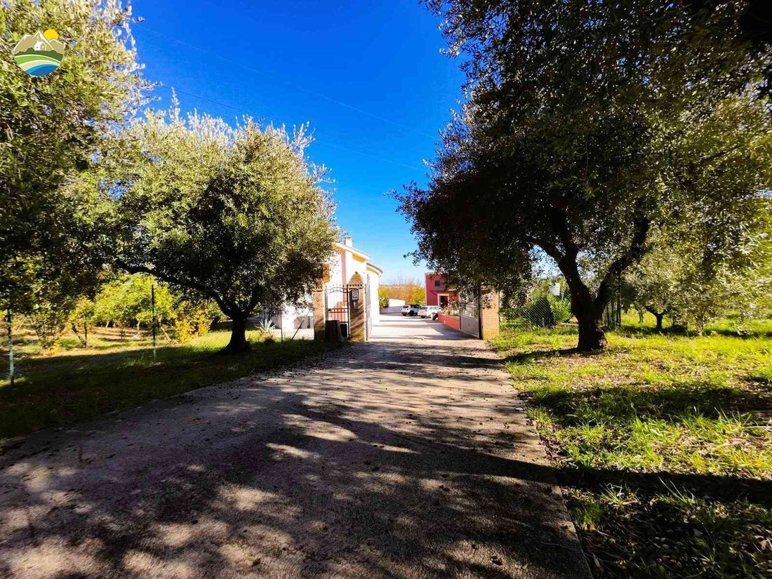 Maisons de campagne à Atri, Abruzzes, Italie 4 - 18436346