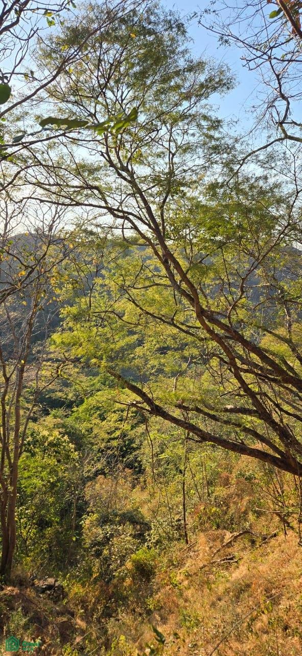 Land in Tamarindo, Santa Cruz, Costa Rica 3 - 17810749