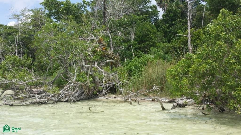 Terreno en Xtomoc Uno, Quintana Roo, México 5 - 17811221