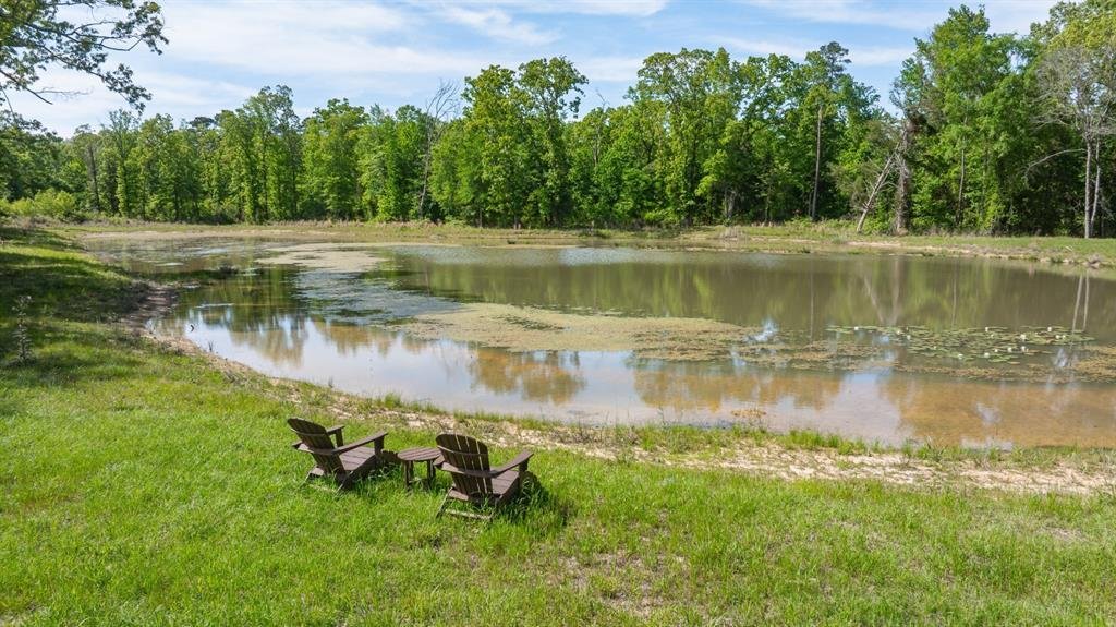 Azienda agricola a Simms, Texas, Stati Uniti 3 - 18764611