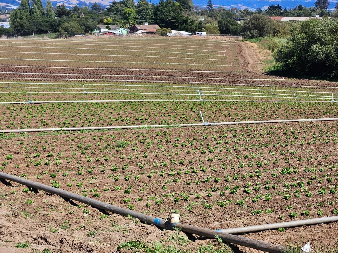 Terreno a Watsonville, California, Stati Uniti 2 - 18763951