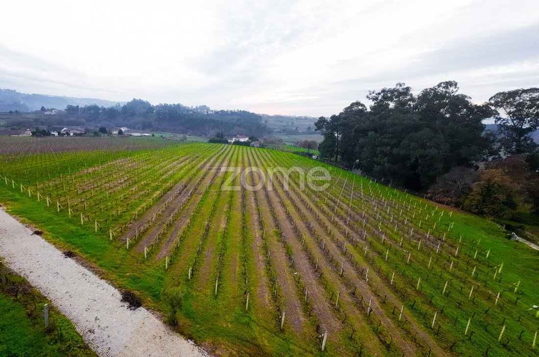 Finca in Macieira da Lixa e Caramos, Distrikt Porto, Portugal 4 - 18765596