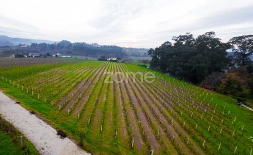Finca en Macieira da Lixa e Caramos, Distrito de Oporto, Portugal 1