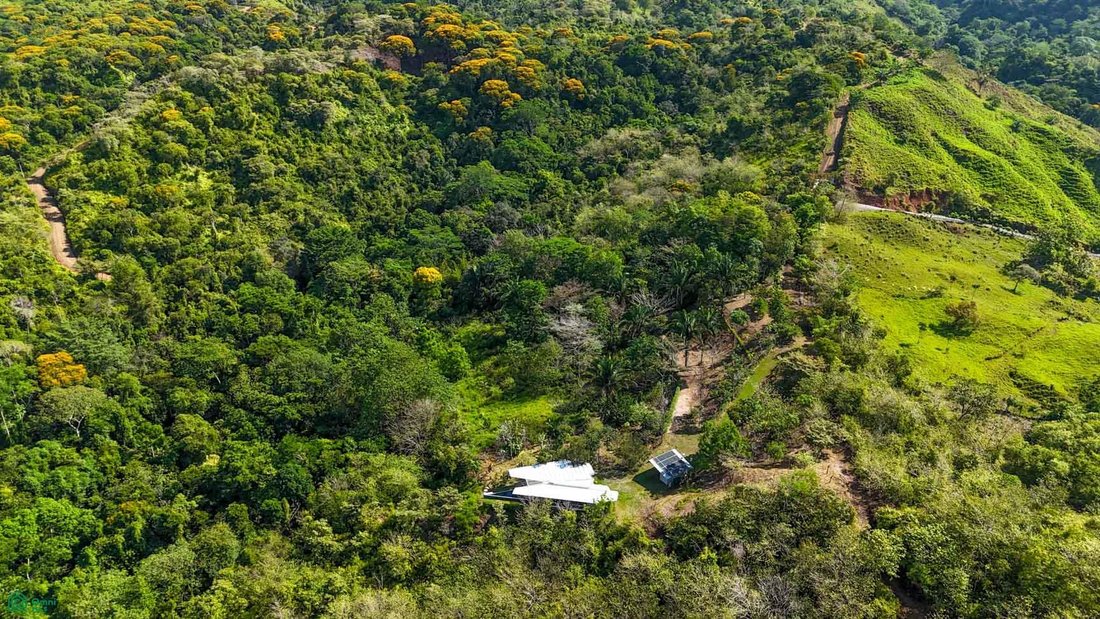 House in Balsar, Puntarenas Province, Costa Rica 1 - 18243917
