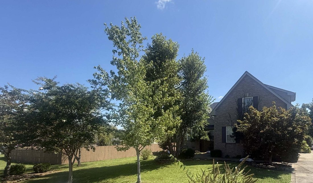 Casa en Murfreesboro, Tennessee, Estados Unidos 1 - 18764658