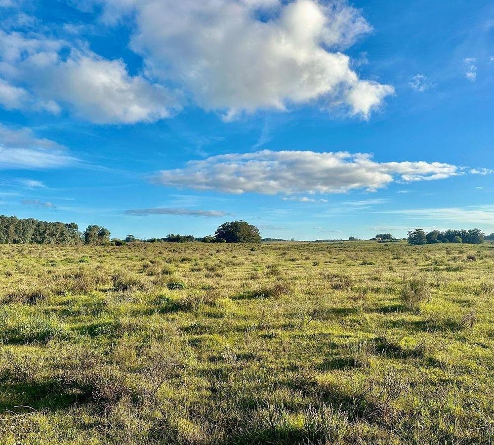 Azienda agricola a José Ignacio, Dipartimento di Maldonado, Uruguay 2 - 18764046
