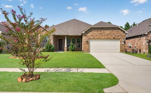 House in Magnolia, Texas, United States 1