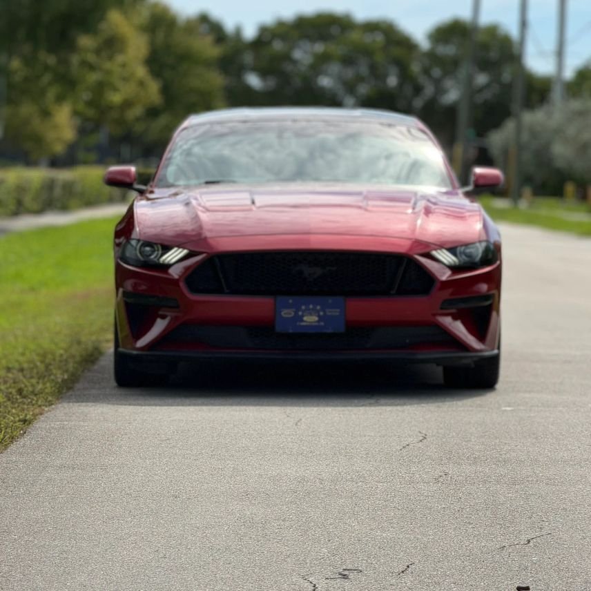 Coupe in Wilton Manors, FL, United States 2 - 18765741