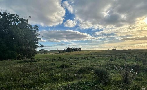 Farm Ranch in Faro José Ignacio, Departamento Maldonado, Uruguay 1