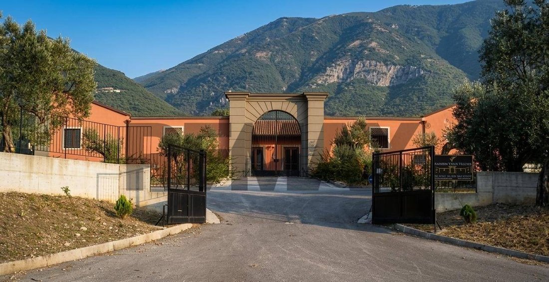 Azienda agricola a Solopaca, Campania, Italia 1 - 18766068