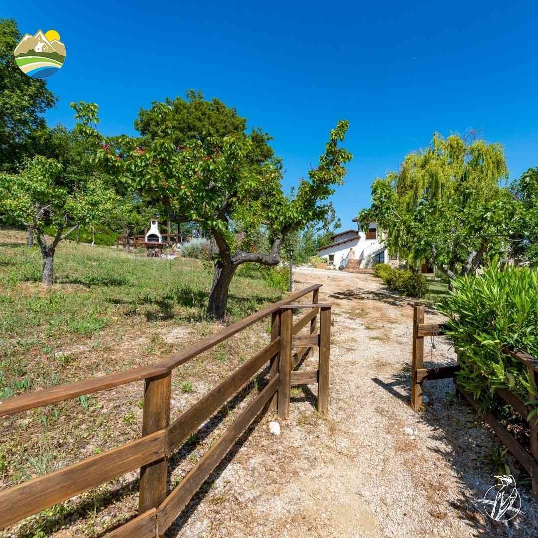 Villa in Morro d'Oro, Abruzzo, Italy 2 - 15411916