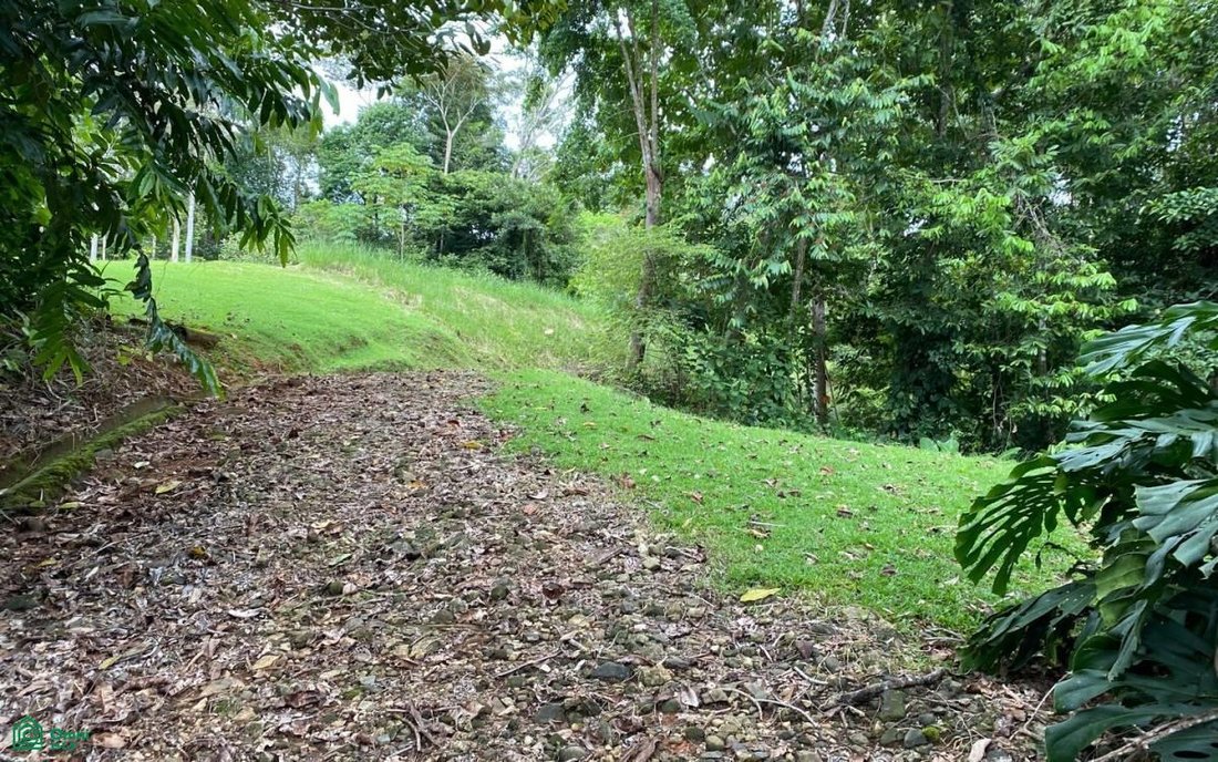 Land in Piñuela, Puntarenas Province, Costa Rica 5 - 17804588