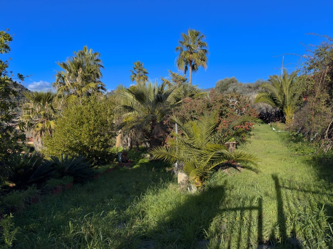 Villa in Bordighera, Liguria, Italy 4 - 18762801