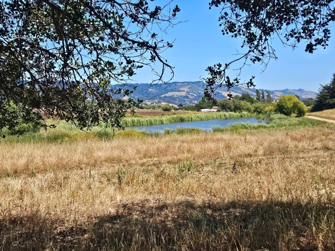 Terreno a Watsonville, California, Stati Uniti 3 - 18763951