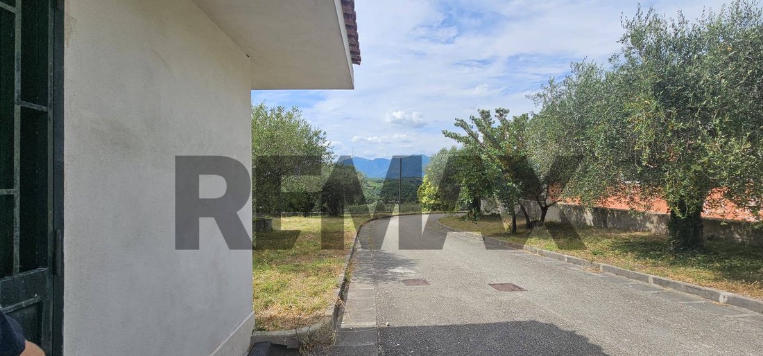 Azienda agricola a Solopaca, Campania, Italia 5 - 18766068