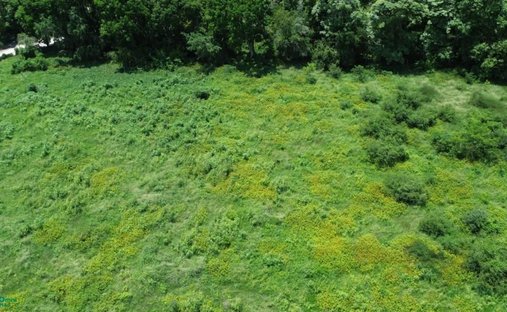 Land in Manzanillo, Colima, Mexico 1