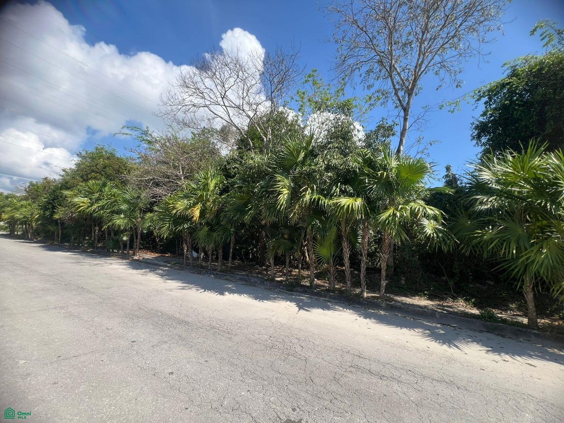 Land in Puerto Morelos, Quintana Roo, Mexico 5 - 18183868