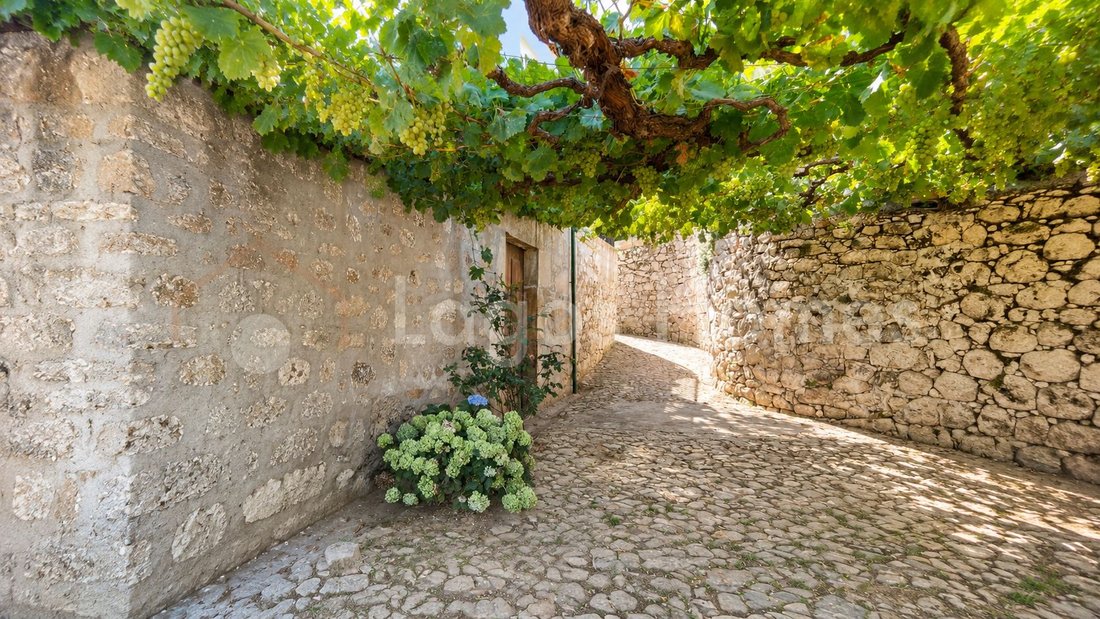 Altro a Cambres, Distretto di Viseu, Portogallo 5 - 18765516