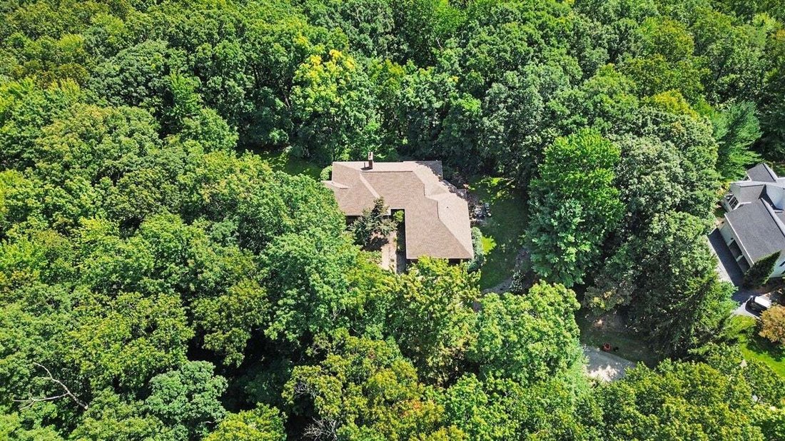Haus in Forest Hills, Michigan, Vereinigte Staaten 5 - 18764329