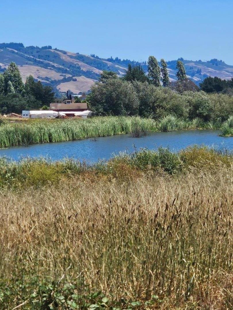 Terreno a Watsonville, California, Stati Uniti 1 - 18763951