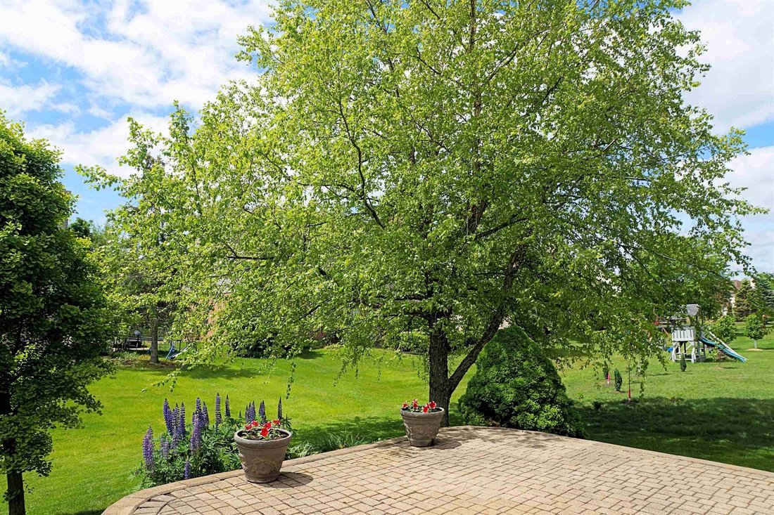 House in Garden City, Michigan, United States 5 - 18764346