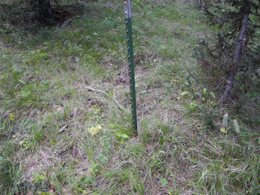 Land in Gallatin Gateway, Montana, United States 5 - 18762325