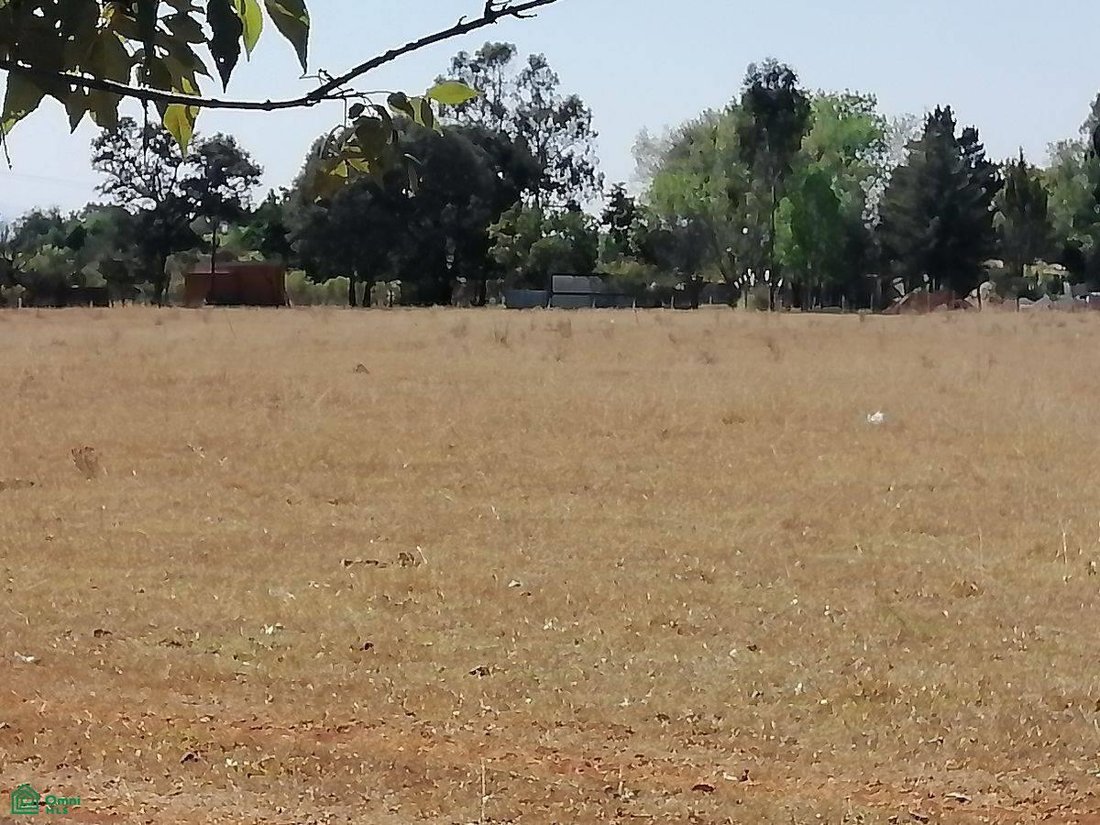 Terreno in Unión de Guadalupe, Jalisco, Messico 5 - 18318645