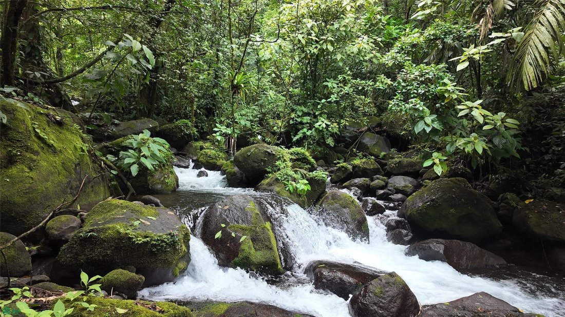 Land in Bijagua, Upala, Costa Rica 2 - 18321239