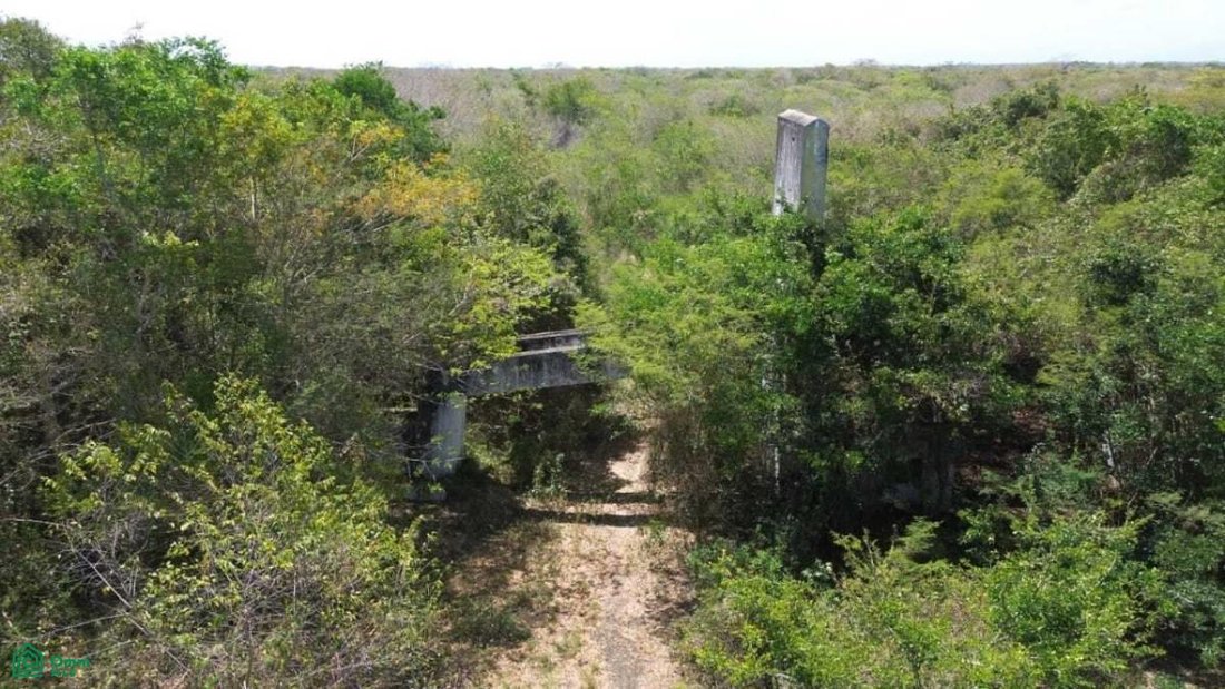Terrain en Higuerote, Miranda, Venezuela 5 - 18379727