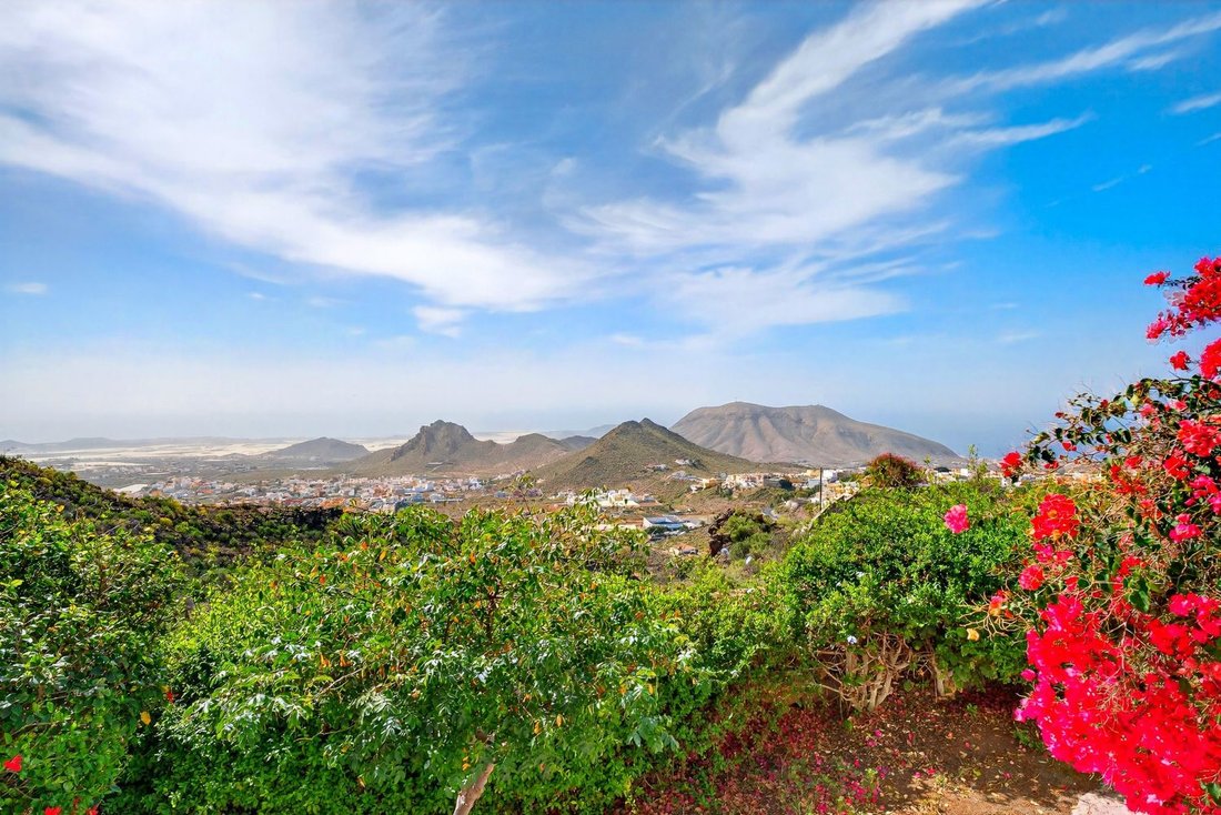 Chalet in Arico, Canary Islands, Spain 4 - 18762454
