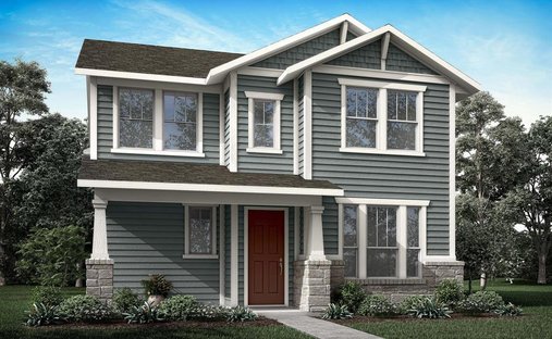 House in McKinney, Texas, United States 1