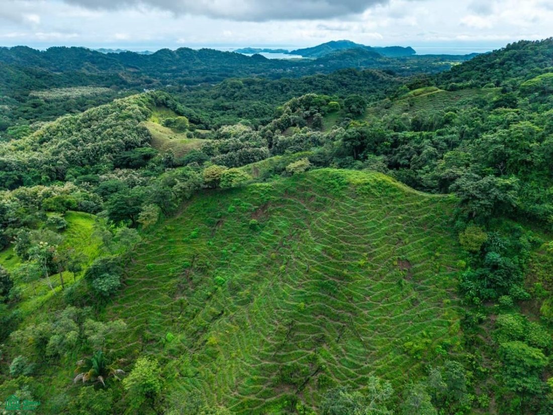 Land in Paquera, Provinz Puntarenas, Costa Rica 3 - 18726421