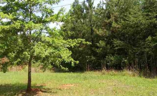 Terreno en Anderson, Carolina del Sur, Estados Unidos 1