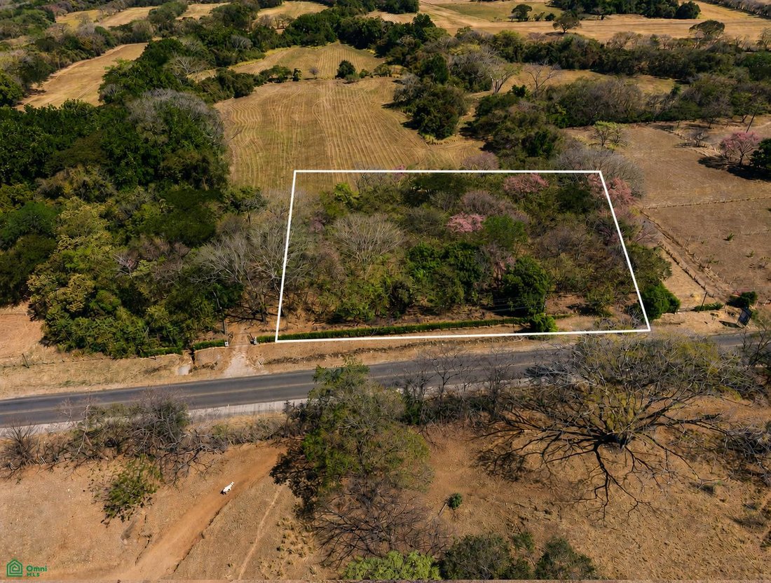 Land in Mansion, Nicoya, Costa Rica 1 - 18269598