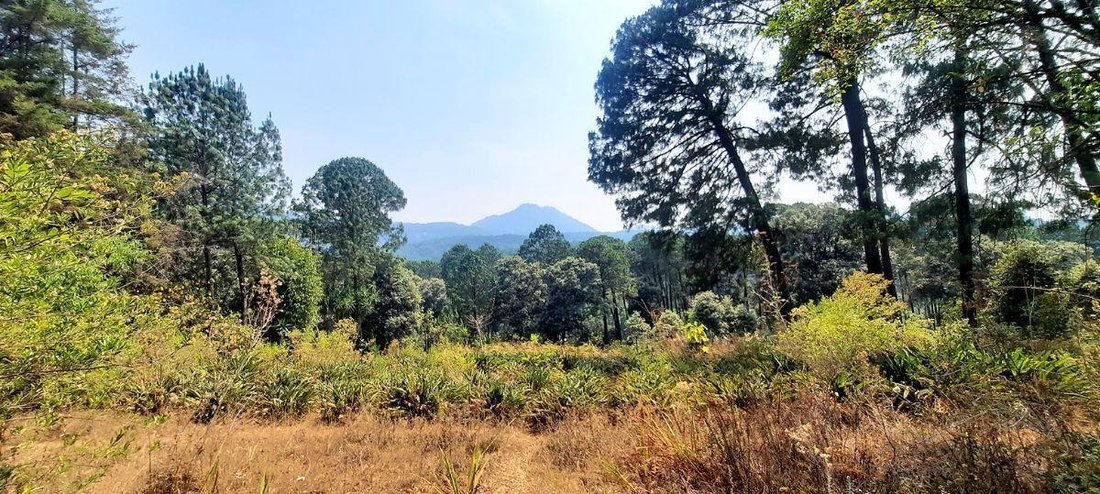 Land in Valle de Bravo, State of Mexico, Mexico 4 - 18766302
