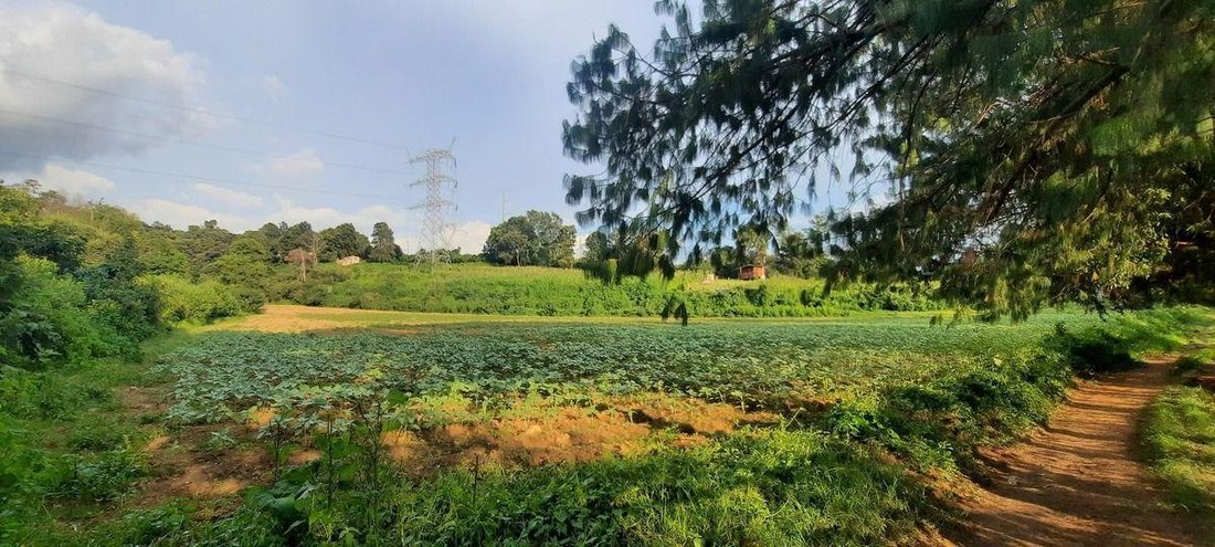 Terrain à Santa María Pipioltepec, État de Mexico, Mexique 2 - 18766232