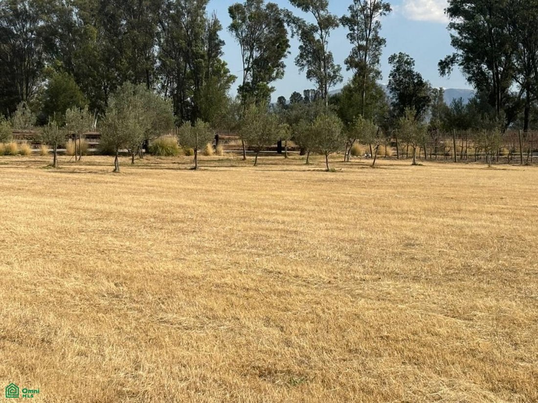 Terrain à Viñedos San Lucas, Guanajuato, Mexique 2 - 17815098