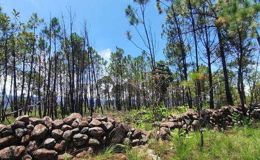 Land in Los Timbres, State of Mexico, Mexico 1