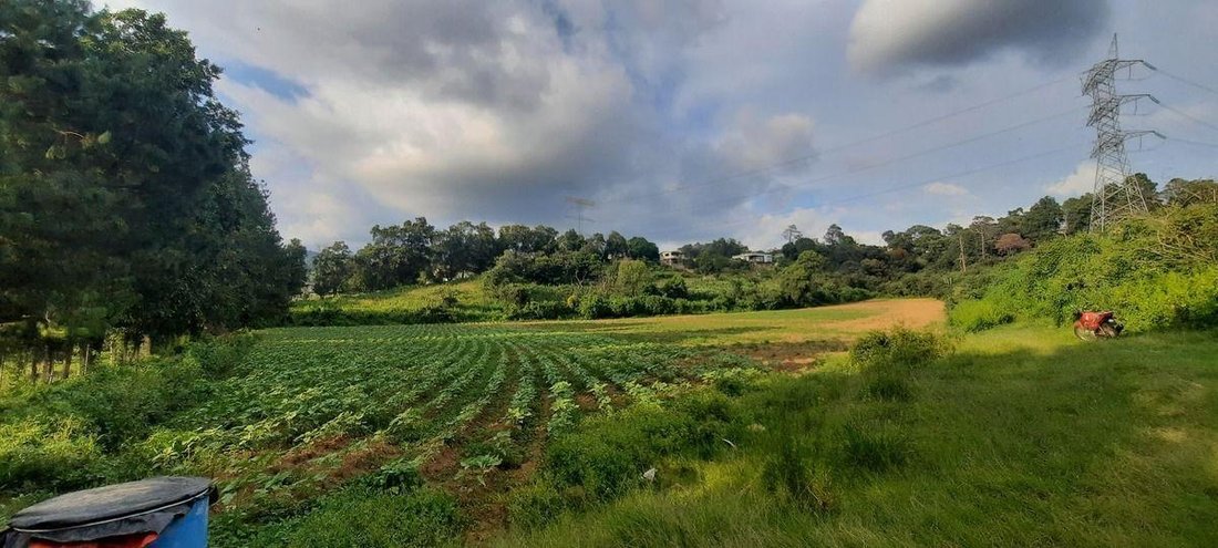 Terrain à Santa María Pipioltepec, État de Mexico, Mexique 1 - 18766232