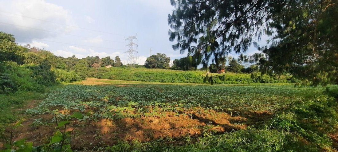 Terrain à Santa María Pipioltepec, État de Mexico, Mexique 3 - 18766232