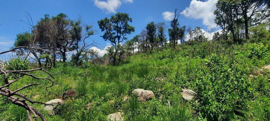 Land in Los Timbres, Bundesstaat Mexiko, Mexiko 3 - 18766132