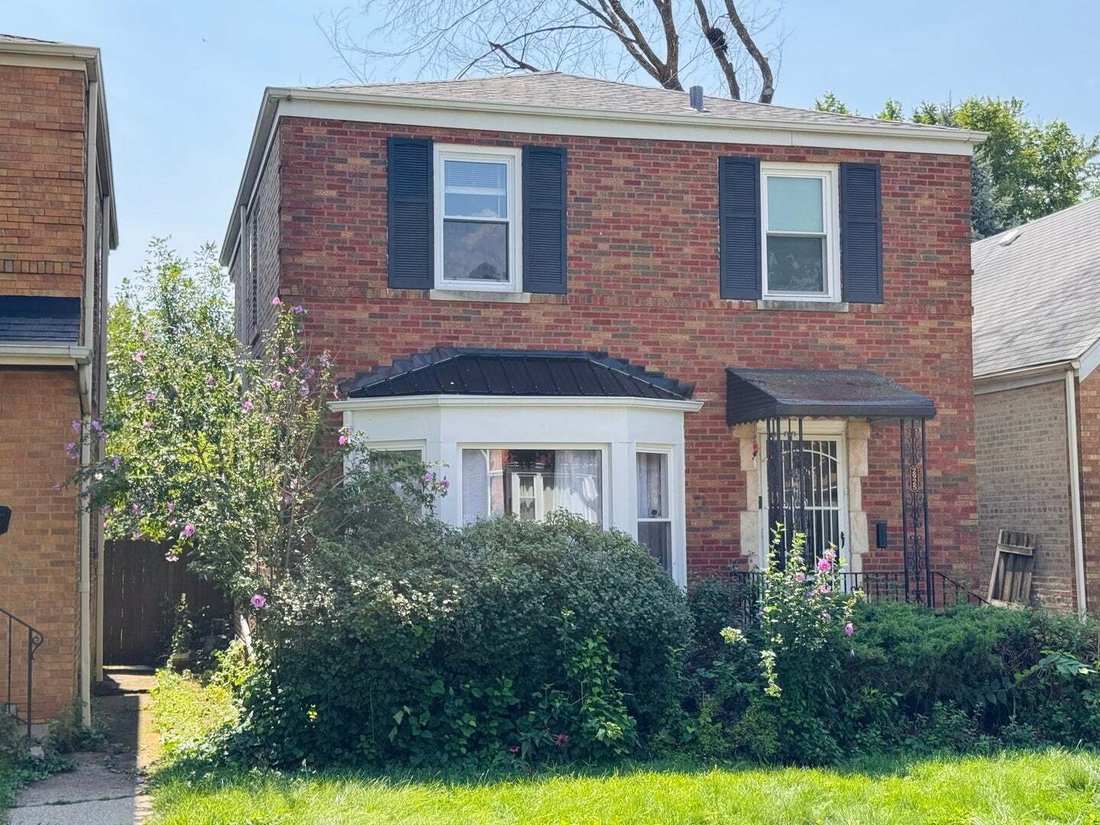 House in Chicago, Illinois, United States 1 - 18765114