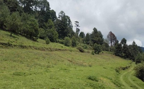 Land in Los Saucos, State of Mexico, Mexico 1