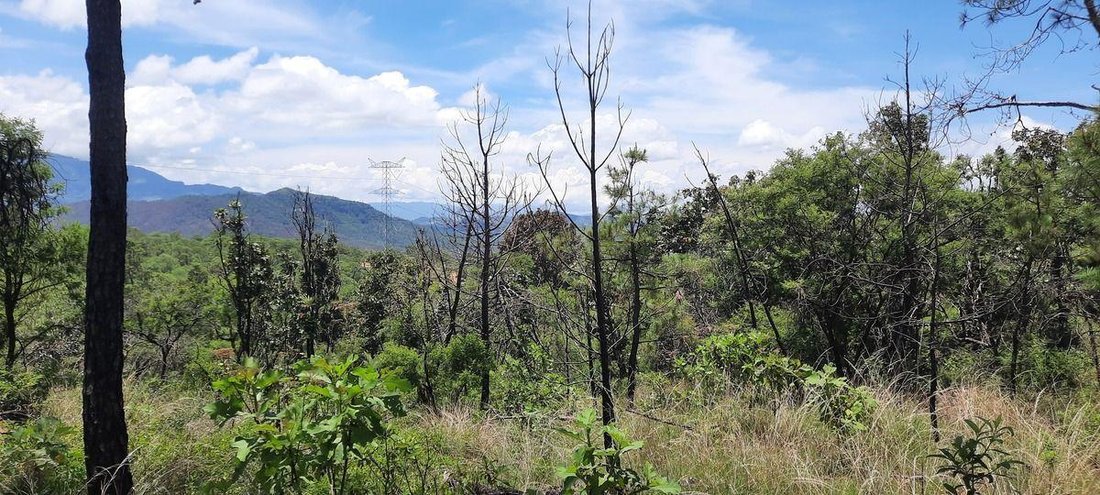 Land in Los Timbres, Bundesstaat Mexiko, Mexiko 4 - 18766132
