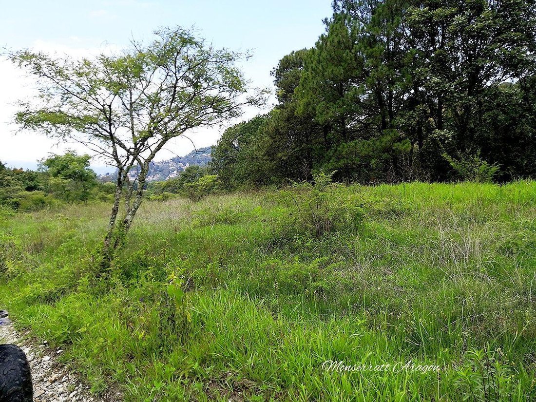 Terreno en Valle de Bravo, Estado de México, México 5 - 18766110