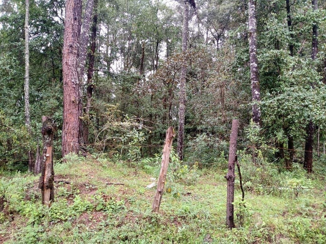 Land in Pinal del Marquesado, State of Mexico, Mexico 4 - 18766210