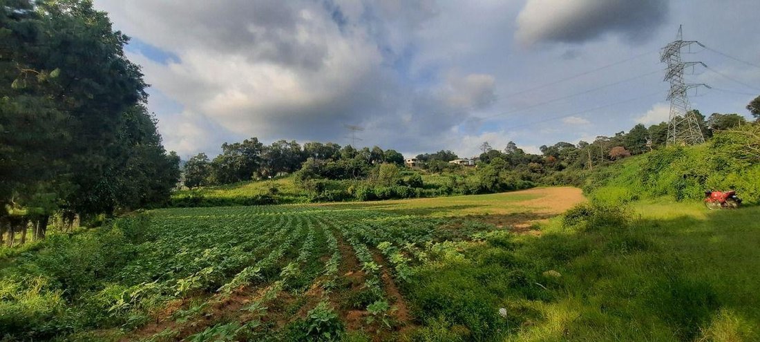 Terrain à Santa María Pipioltepec, État de Mexico, Mexique 5 - 18766232