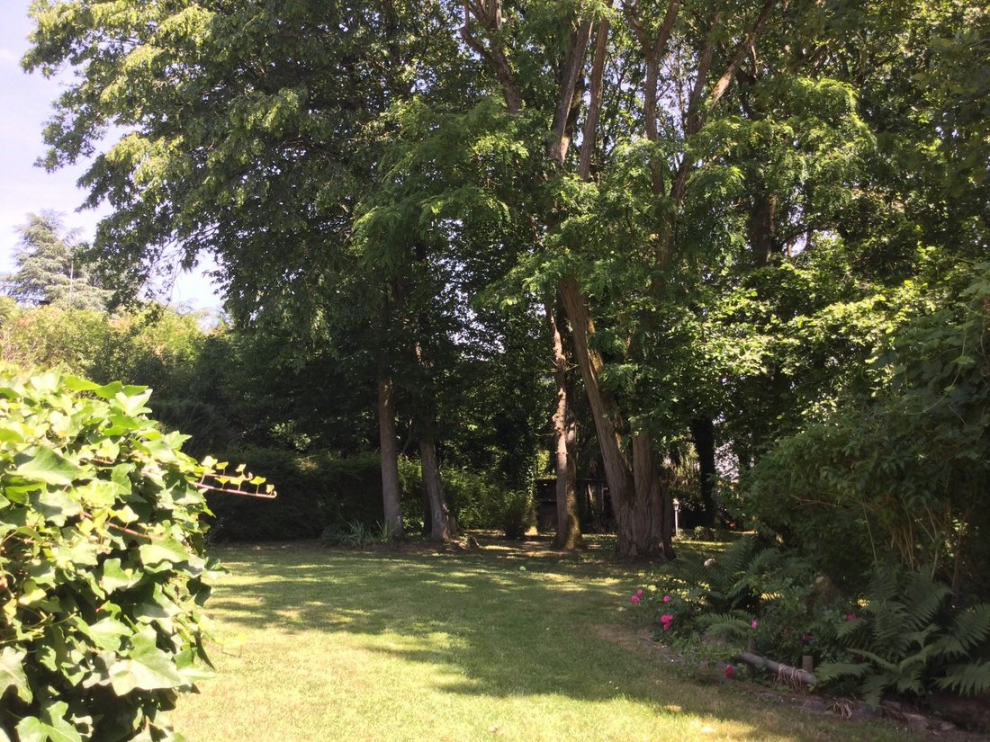 House in Moigny-sur-Ecole, Ile-de-France, France 5 - 18766403
