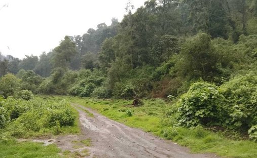 Terreno a San Antonio Albarranes, Stato del Messico, Messico 1